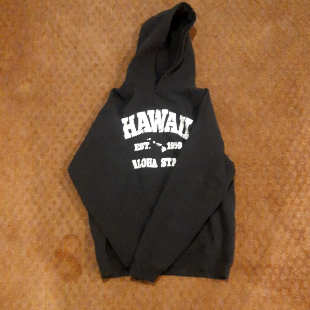 Hawaii 1959 aloha state hoodie